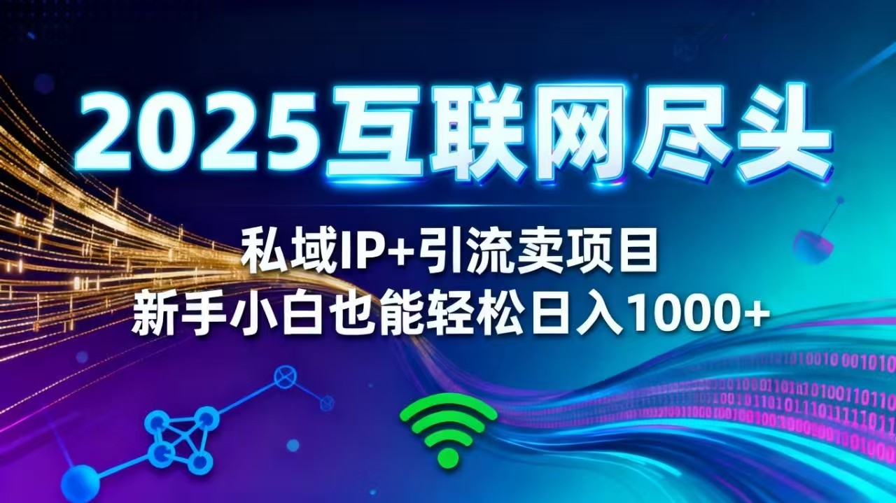 2025网创尽头王炸项目！私域 IP + 精准引流，新手小白在家躺赚日入 1000+-老K爱搞钱