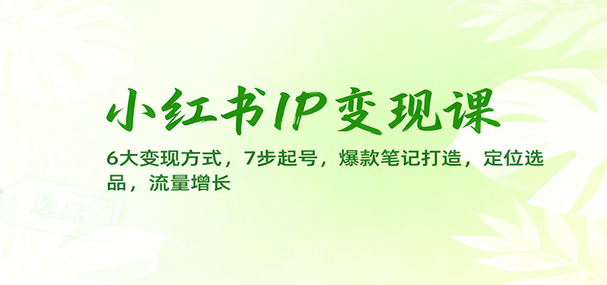 小红书IP变现课:6大变现方式,7步起号,爆款笔记打造,定位选品,流量增长-老K爱搞钱